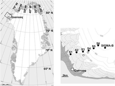 Spatial Distribution of the Input of Insoluble Particles Into the Surface of the Qaanaaq Glacier, Northwestern Greenland